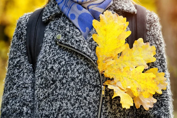 Gelbe Eichenblätter in einem grauen Mantel. Herbstkonzept. — Stockfoto