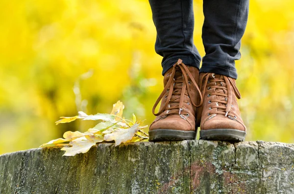 Zapatos femeninos marrones en un muñón, queriendo follaje. Concepto de otoño — Foto de Stock