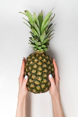 Kadın ellerinde ananas, beyaz arkaplan. Yaz manikürü. Dikey çerçeve