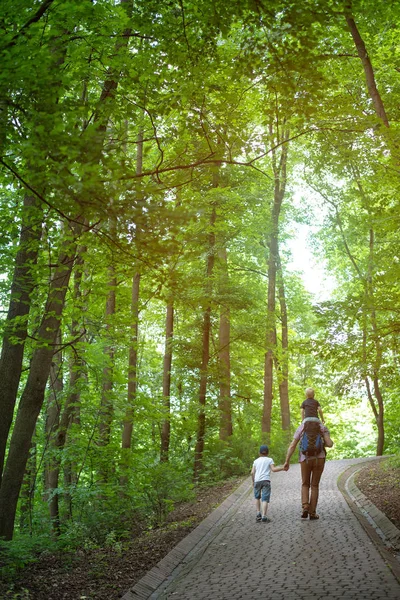Papá con sus hijos camina en el parque. Caminando por el bosque con la familia. Vista posterior marco vertical — Foto de Stock