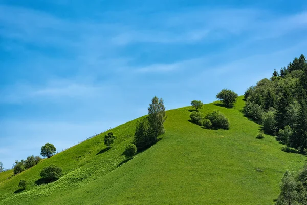 Mavi gökyüzü arka planında yeşil tepe. Ekoloji eğlencesi, kırsal kesim — Stok fotoğraf