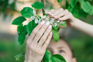 Pembe bahar manikür jölesi, kısa tırnaklı. Çiçek açan elma ağacını tutan kadın.