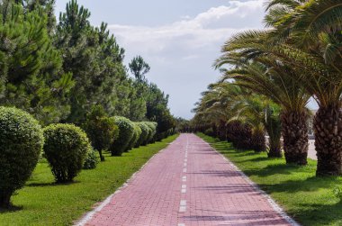Yeşil Park 'tan geçen Paved Yolu. Peyzaj bahçe düzenlemesi