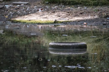 Suda eski bir lastik var. Su kirliliği. Çevre kirliliği sorunu. Ekoloji.