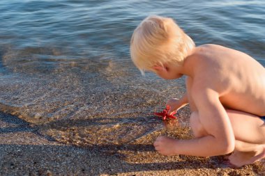 Çocuk sahilde oturur ve denizyıldızıyla oynar. Çocuklarla tatil. .