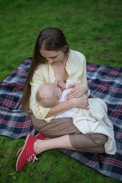 Mère Aimante Embrassant Son Bébé Allaitant Pique Nique Parc Avec — Photo