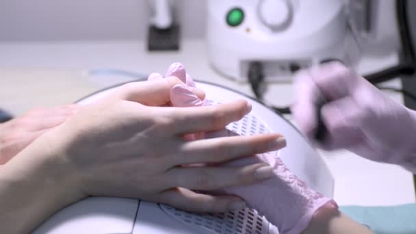 Processo de revestimento de unhas com verniz incolor. Manicura profissional. Procedimento no salão de SPA. Close-up — Vídeo de Stock