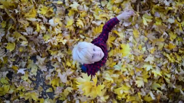 Blonďatý chlapec v kostkované košili se točí ve žlutých podzimních listech. Přímo nad námi. Zpomalený pohyb — Stock video