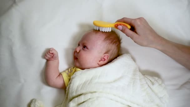 女人用手梳理她婴儿柔软的发梳 刚出生的婴儿躺在床上 妈妈在梳头 — 图库视频影像