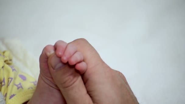 Το μικρό μωρουδίστικο χέρι κρατάει τον αντίχειρα της μητέρας. Φροντίδα και μητρότητα. Κοντινό πλάνο — Αρχείο Βίντεο