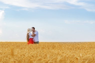 Genç çift buğday tarlasında öpüşüyor. Romantik açık hava.