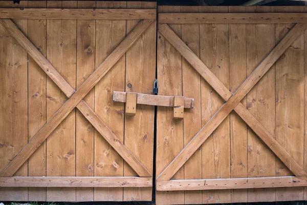 Puerta Madera Vintage Antigua Puerta Madera Rústico Zona Rural — Foto de Stock