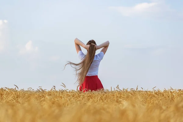 Zadní Pohled Dívku Krásnými Dlouhými Vlasy Stojící Pšeničném Poli Zdravé — Stock fotografie