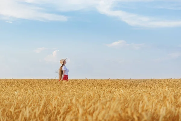 Obrovské Pšeničné Pole Mladá Dívka Dálce Dovolená Venkově — Stock fotografie