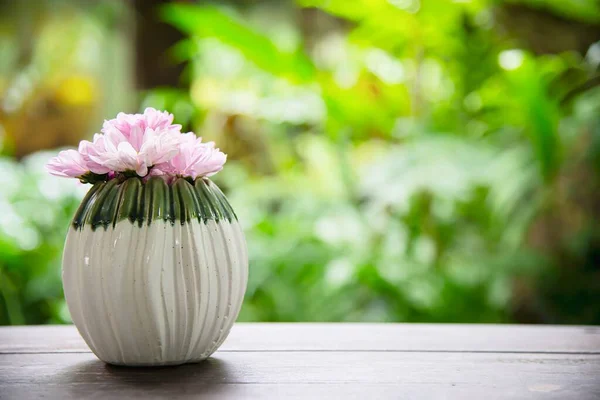 Flor Colorida Fresca Una Olla Cerámica Pequeña Maceta Colorida Decoración — Foto de Stock