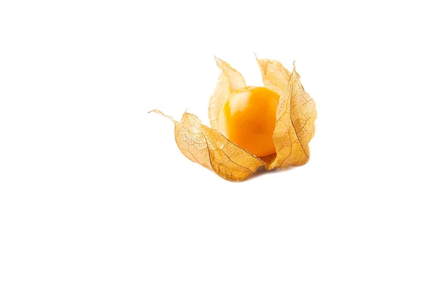 Φρέσκο Cape Gooseberry Απομονώνονται Λευκό Φόντο Πολύχρωμο Τοπίο Φρούτων Gooseberry — Φωτογραφία Αρχείου