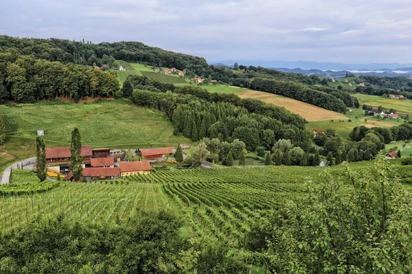 Boerderij in het midden van de wijngaarden — Stockfoto