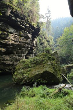 Büyük taş yosun nehre/EC