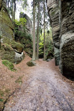 Kayalar ve ağaçlar arasında yer