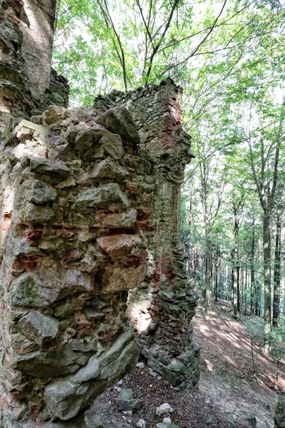 Kırık tuğla duvarlar ormandaki — Stok fotoğraf
