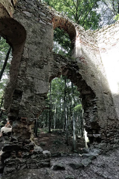 Restos del edificio en el bosque —  Fotos de Stock