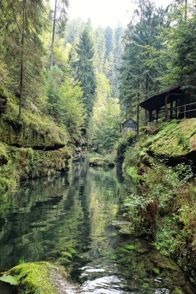 Hut Creek e floresta na Boêmia Swizterland — Fotografia de Stock