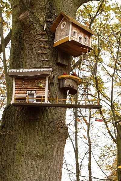 Małe domy modelu na pniu drzewa — Zdjęcie stockowe