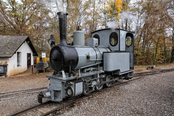 Smalle spoorweg grijze stoommachine — Stockfoto