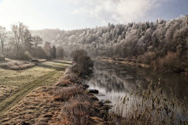 Kış Nehri Vadisi frost ağaç ve ot