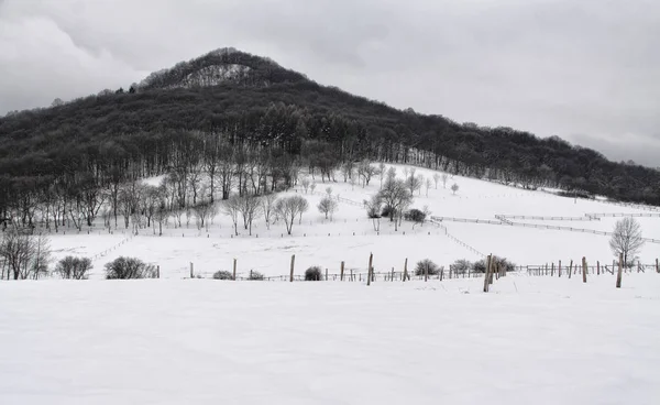 Colina coberta de neve com bosques nas laterais — Fotografia de Stock