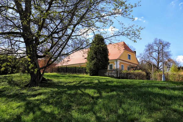 Сельский дом у газона и дерева — стоковое фото