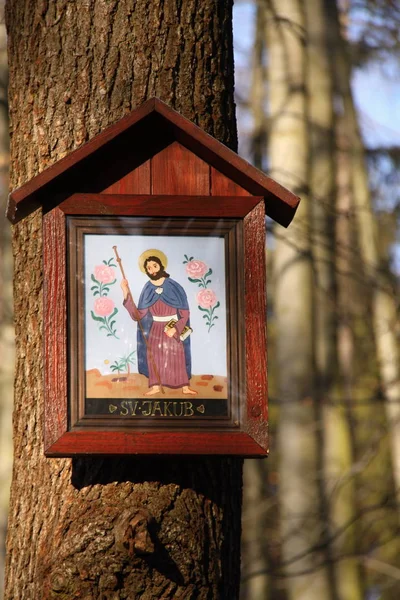 Naïeve beeld van Sint Jacob op de boomstam — Stockfoto