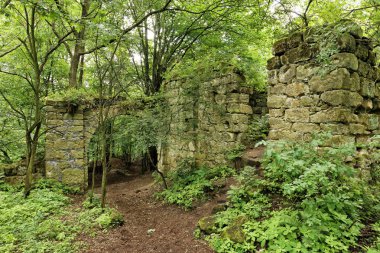 Ormanın içinde terk edilmiş Emlak kalıntıları