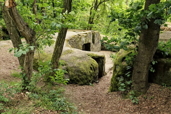 Ormandaki itilen rock evlerin sistemi — Stok fotoğraf