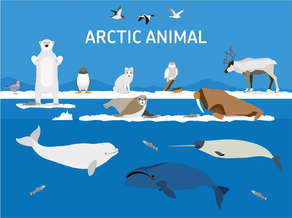 Animales del Ártico. Ilustración de estilo plano — Vector de stock