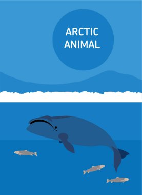 The bowhead whale. Arctic animals. Flat style illustration