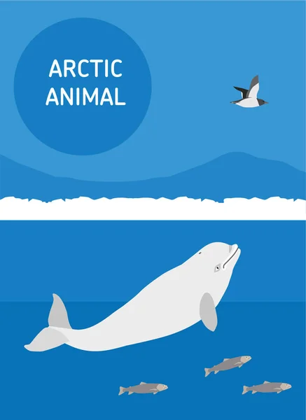 Ballena blanca. Animales árticos. Ilustración de estilo plano — Vector de stock
