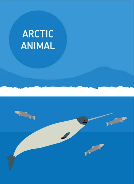 Unicornio marino. Animales árticos. Ilustración de estilo plano — Vector de stock