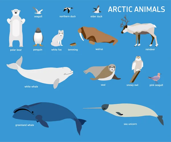 Djur i Arktis. Vector uppsättning polar däggdjur och fåglar. — Stock vektor