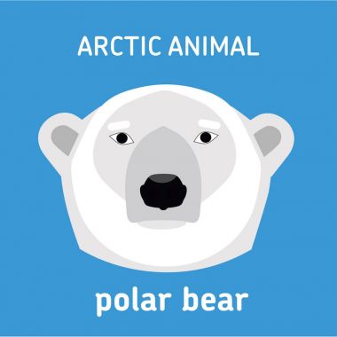 Arctic hayvanlar. Bir kutup ayısı başkanı.