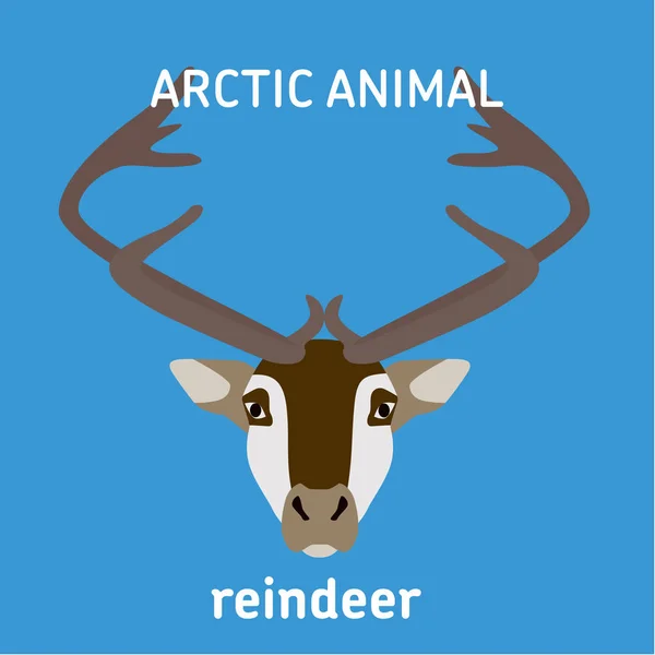 Arctic hayvanlar. Baş Ren geyiği. — Stok Vektör