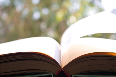 kitap yeşillik zemin üzerine açık