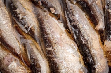 Açık kutu füme hamsi ve diğer konserve balık