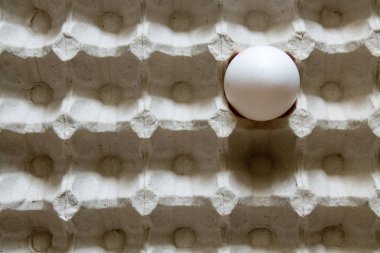 Beyaz arka plan üzerinde kağıt tepsisinde yumurta