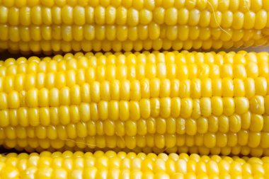 haşlanmış mısır doku