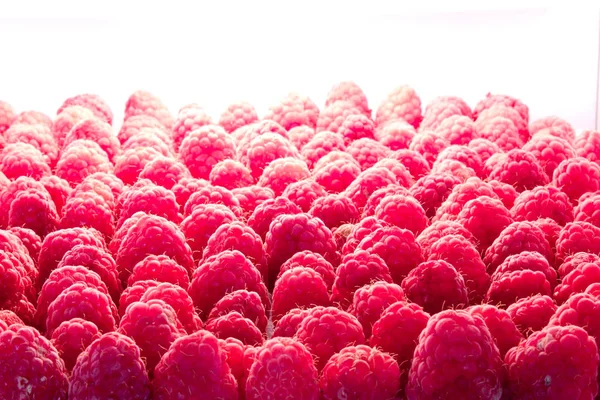 raspberries background closeup