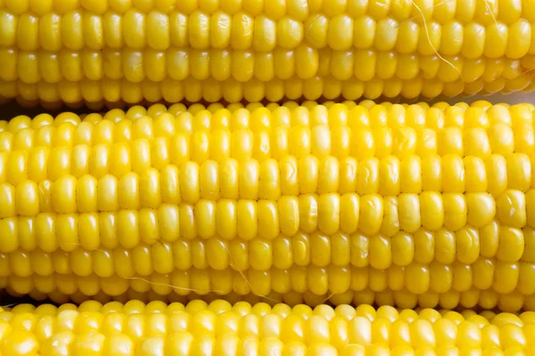 haşlanmış mısır doku