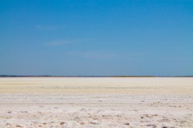 Azak Denizi Tuz Gölü