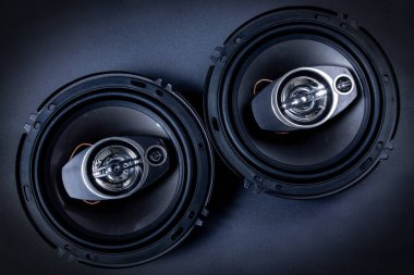 Modern car speakers close-up  clipart