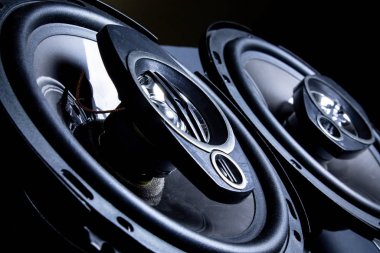 Modern car speakers close-up  clipart